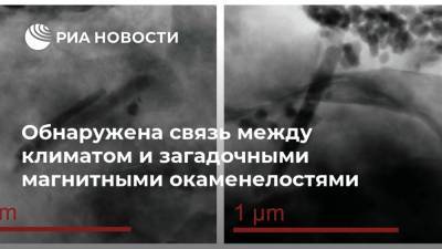 Обнаружена связь между климатом и загадочными магнитными окаменелостями - ria.ru - Москва