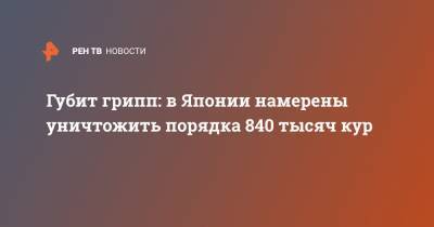 Губит грипп: в Японии намерены уничтожить порядка 840 тысяч кур - ren.tv - Япония