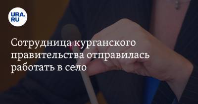 Сотрудница курганского правительства отправилась работать в село - ura.news - Курган - район Целинный