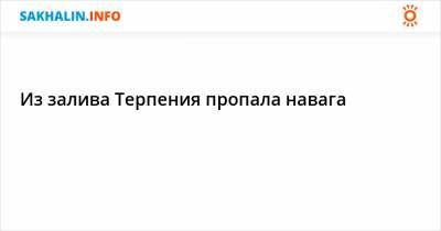 Из залива Терпения пропала навага - sakhalin.info