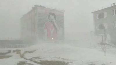 На Чукотке семь человек на вездеходах не могут выбраться из тундры - vesti.ru - Москва - Чукотка