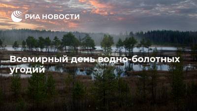 Всемирный день водно-болотных угодий - ria.ru - Иран