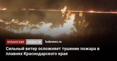 Сильный ветер осложняет тушение пожара в плавнях Краснодарского края - kubnews.ru - Краснодарский край