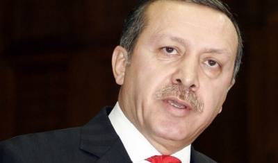 Реджеп Тайип Эрдоган - В Турции могут принять новую конституцию - mirnov.ru - Турция - Конституция - Лидер