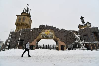 Рафик Загрутдинов - Новый вход в Московский зоопарк откроют в 2021 году - m24.ru