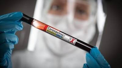 Вспышку COVID после прививки Pfizer выявили в испанском доме престарелых - 5-tv.ru - США - Испания - Амстердам