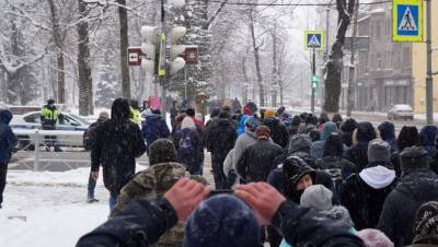 Псковский суд арестовал на семь суток организатора акции 31 января - dp.ru - Псков