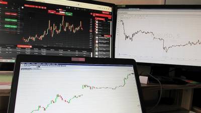 Аналитики Банка России спрогнозировали пик годовой инфляции - riafan.ru - Москва