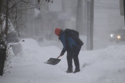 Морозы, дожди и туманы: погода в Украине внезапно ухудшится - 24tv.ua - Новости