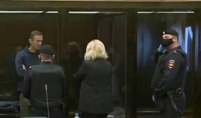 Алексей Навальный - Юлий Навальная - 2 февраля. Хронология суда над Навальным - newizv.ru
