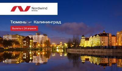 Тюменцы смогут летать в Калининград без пересадок - nashgorod.ru - Тюмень - Калининград