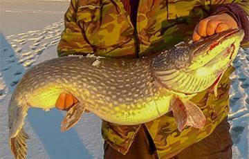 Жители Кличева поймали на зимней рыбалке огромную щуку - charter97.org - Могилевская обл. - район Быховский