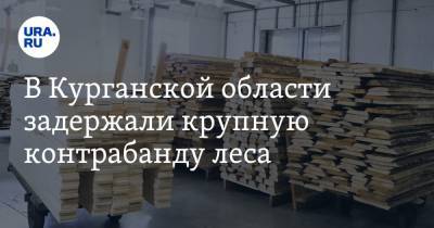 В Курганской области задержали крупную контрабанду леса - ura.news - Тюменская обл. - Киргизия - Свердловская обл. - Курганская обл.