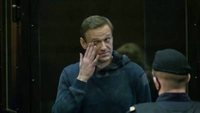Алексей Навальный - Мария Захарова - Захарова оценила сообщения о сотрудниках посольств на суде по Навальному - russian.rt.com