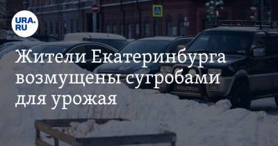 Алексей Орлов - Жители Екатеринбурга возмущены сугробами для урожая - ura.news - Екатеринбург