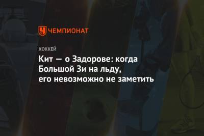 Никита Задоров - Кит — о Задорове: когда Большой Зи на льду, его невозможно не заметить - championat.com - шт. Колорадо