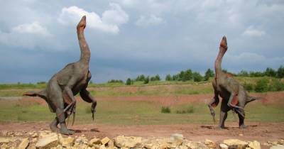 Четырехлетняя девочка нашла след динозавра возрастом 220 миллионов лет - tsn.ua - Англия