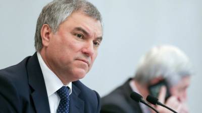 Алексей Навальный - Сергей Лавров - Спикер Госдумы заявил, что Навального используют для создания напряжения в РФ - newinform.com - Австрия - США - Швейцария - Болгария - Латвия