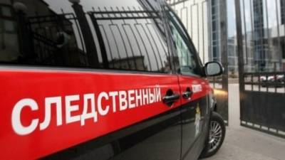СК Смоленска возбудил дело после смерти пенсионера во время треш-стрима - polit.info - Смоленск