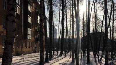 Александр Колесов - Солнце светило в Петербурге менее 10 часов в январе - piter.tv - Санкт-Петербург