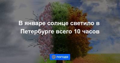 Александр Колесов - В январе солнце светило в Петербурге всего 10 часов - news.mail.ru - Петербурга