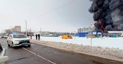 Полиция задержала поджигателя "Эпицентра" в Первомайске - delo.ua - Николаевская обл. - Первомайск