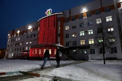 Ирина Гехт - Власти Челябинской области обжалуют решение суда по городскому бору - znak.com - Санкт-Петербург - Челябинская обл.