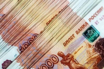 Сумку с миллионом рублей украли у женщины в Калининграде - m24.ru - Калининград - Калининградская обл.