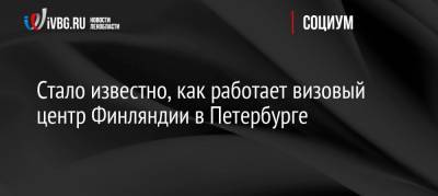 Стало известно, как работает визовый центр Финляндии в Петербурге - ivbg.ru - Санкт-Петербург - Финляндия - Петербург - Визы