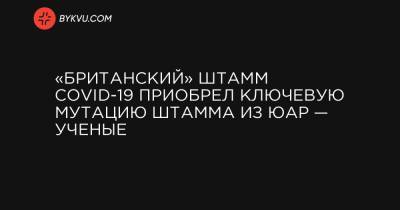 «Британский» штамм COVID-19 приобрел ключевую мутацию штамма из ЮАР — ученые - bykvu.com - США - Англия - Юар