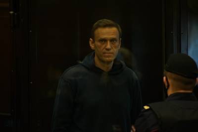 Владимир Путин - Алексей Навальный - Ярослав Мудрый - Навальный в суде: у нас будет Владимир Отравитель трусов - sharij.net - Москва
