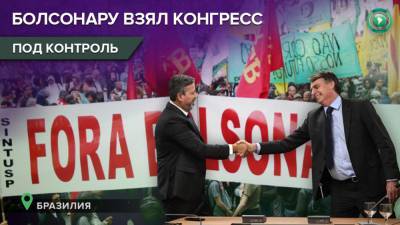 Сторонники президента Болсонару возглавили Нацконгресс Бразилии - riafan.ru - Бразилия