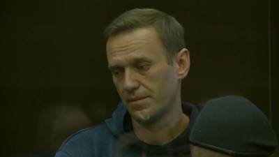 Алексей Навальный - Аплодировал и просил сбегать за фаст-фудом: заседание по Навальному - vesti.ru - Москва - США - Англия - Австралия - Литва - Болгария - Латвия