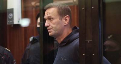 Алексей Навальный - МИД Латвии недоволен: Навальный получил реальный срок - lv.sputniknews.ru - Москва - Рига - Латвия