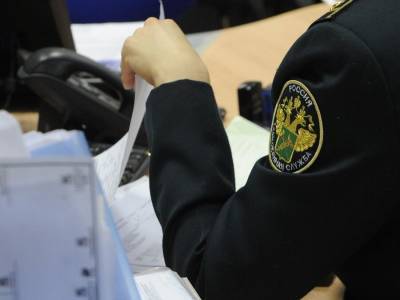 Таможенника аэропорта Домодедово оштрафовали за получение взятки - m24.ru - Москва - Московская обл. - Ашхабад