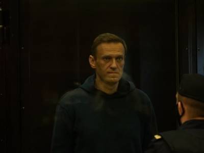 Алексей Навальный - Ив Роше - Приговор Навальному: на улицах Петербурга начались задержания - rosbalt.ru - Москва - Санкт-Петербург