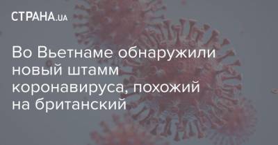 Во Вьетнаме обнаружили новый штамм коронавируса, похожий на британский - strana.ua - Англия - Вьетнам