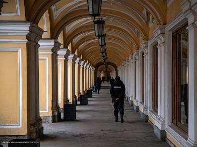 Ив Роше - В центре Петербурга задержали пятерых человек - rosbalt.ru - Москва - Санкт-Петербург