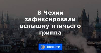 В Чехии зафиксировали вспышку птичьего гриппа - news.mail.ru - Чехия