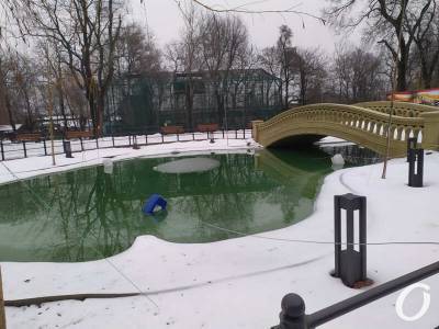 Зима в Одесском зоопарке (фоторепортаж) - odessa-life.od.ua