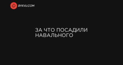 Олег Навальный - За что посадили Навального - bykvu.com