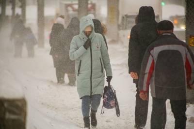 Холодно и промозгло: прогноз погоды 20 февраля в Новосибирске - novos.mk.ru - Новосибирск