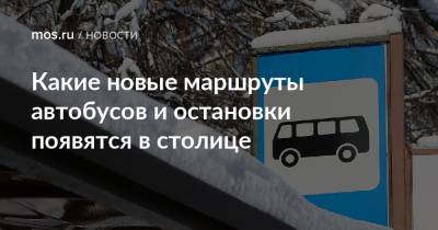 Какие новые маршруты автобусов и остановки появятся в столице - mos.ru