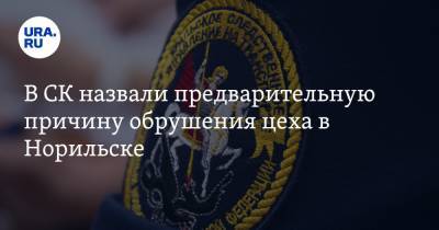 В СК назвали предварительную причину обрушения цеха в Норильске - ura.news - Красноярский край - респ. Хакасия - Норильск