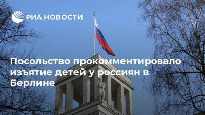 Анна Кузнецова - Петр Толстой - Посольство прокомментировало изъятие детей у россиян в Берлине - ria.ru - Россия - Германия - Берлин