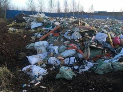 Александр Новак - Виктория Абрамченко - Запуск «зеленых» ТЭС «Ростеха» пришлось отложить до 2024 года - rosbalt.ru - Московская обл. - Казань