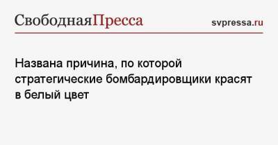 Названа причина, по которой стратегические бомбардировщики красят в белый цвет - svpressa.ru - США - Турция