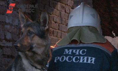 Очевидцы: здание обрушившейся норильской фабрики давно требовало ремонта - fedpress.ru - Красноярск