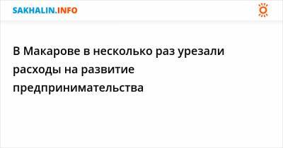 В Макарове в несколько раз урезали расходы на развитие предпринимательства - sakhalin.info