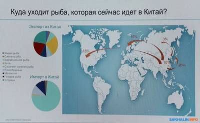 Антон Зайцев - Сахалин прикармливает рыбных инвесторов, чтобы они не ушли к Кожемяко - sakhalin.info - Корея